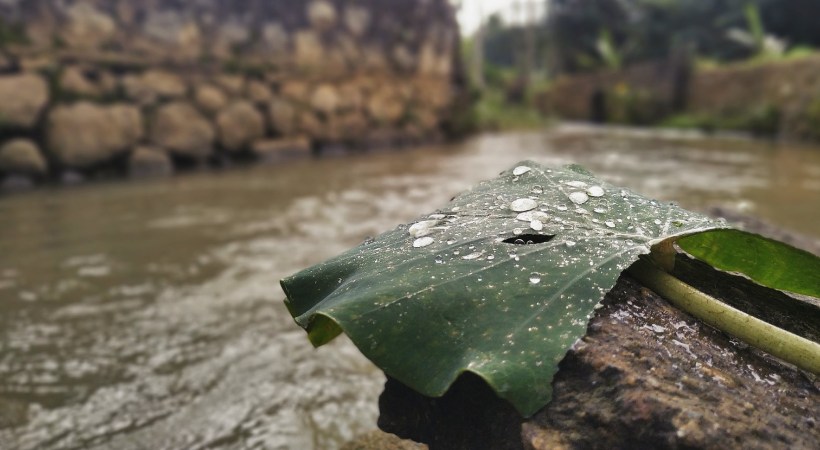 Kerala rains alert today