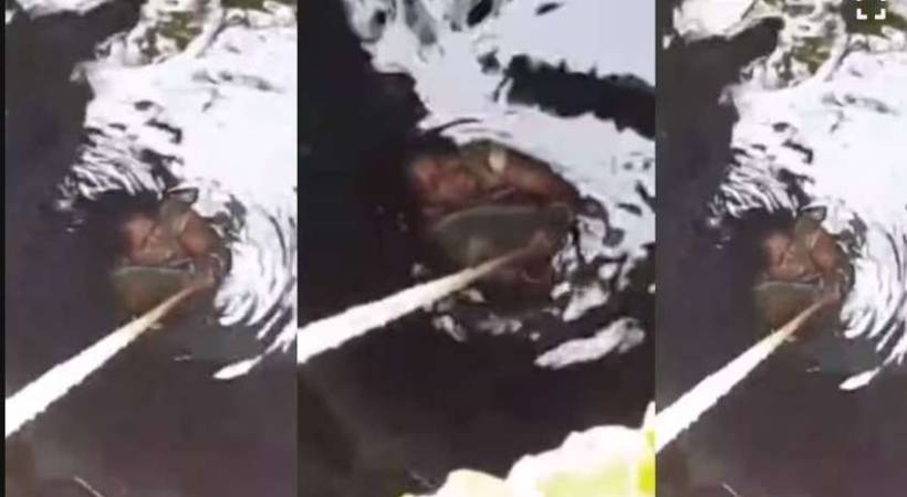 man pushes wife into well