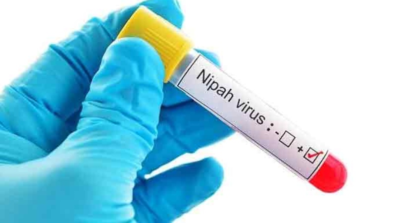 Nipah confirmed at Kozhikode