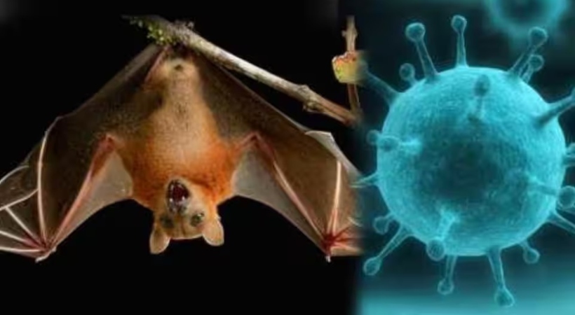 Route map of Nipah positive health worker out now
