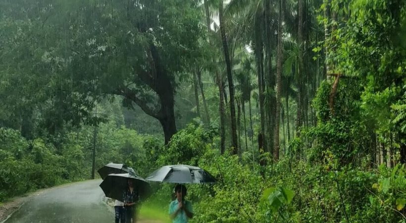 Kerala rains yellow alert in four districts