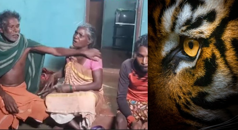 Tiger entered to a house in Wayanad