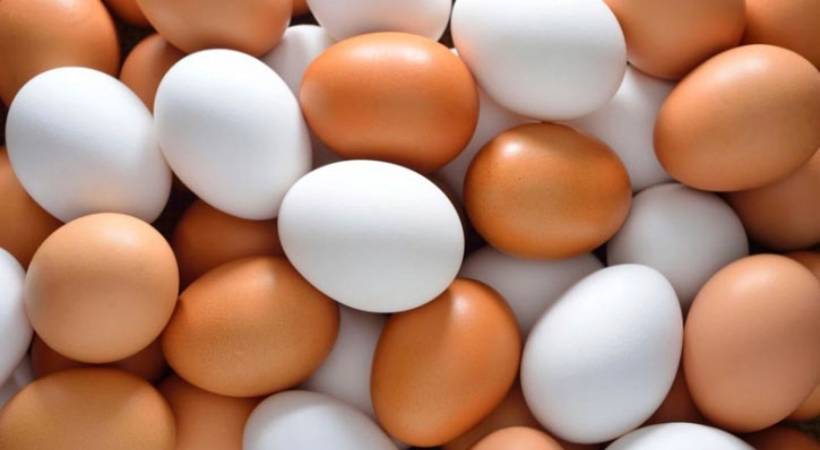 Egg day 2023