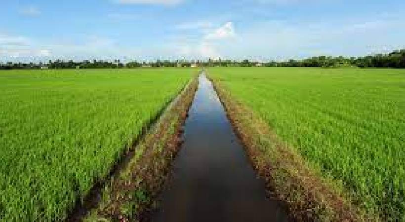 major lapse in enacting Paddy wetland act