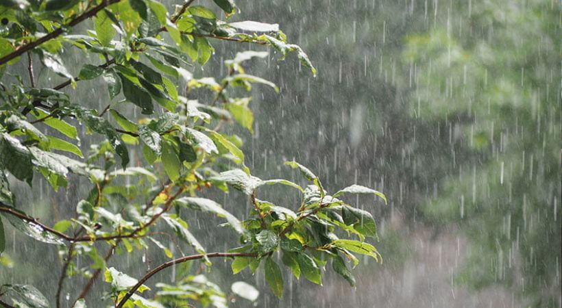 Rain alert in Kerala 14 districts