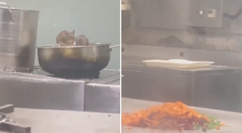 Video Rats Train Pantry Railways Responds