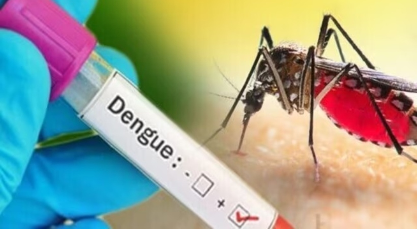 dengue fever cases rising in Kerala