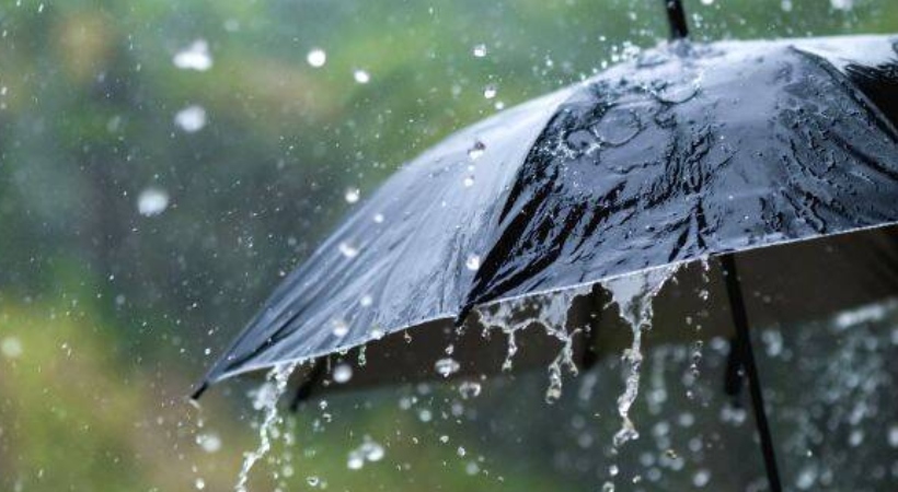 kerala rain today