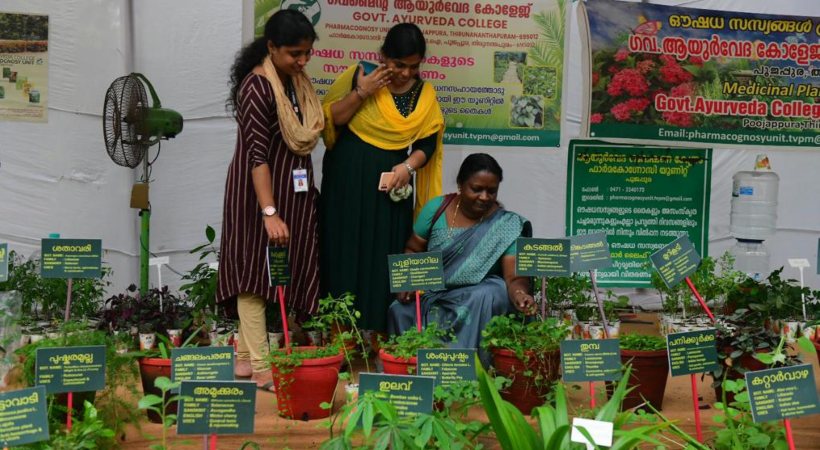 Display of medicinal plants in Keraleeyam
