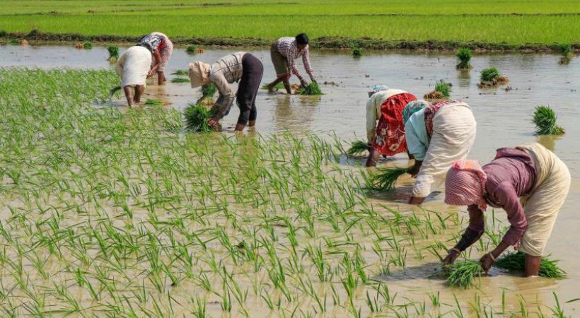 Poll Panel Asks Telangana To Pause Financial Aid To Farmers