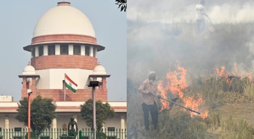 SC directs Punjab Delhi UP and Rajasthan governments to stop stubble burning