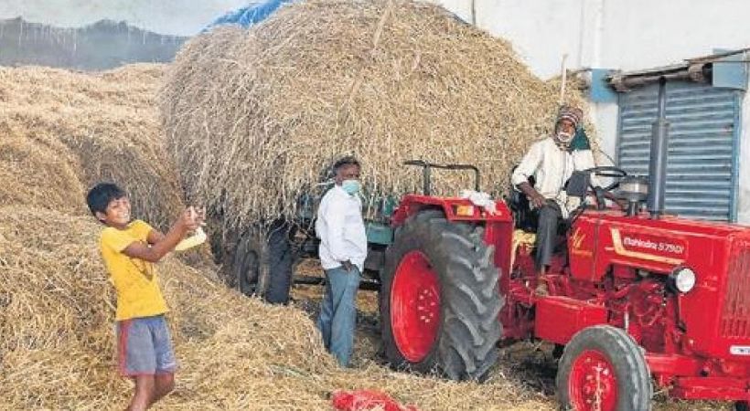 fodder transportation banned from Karnataka to Kerala