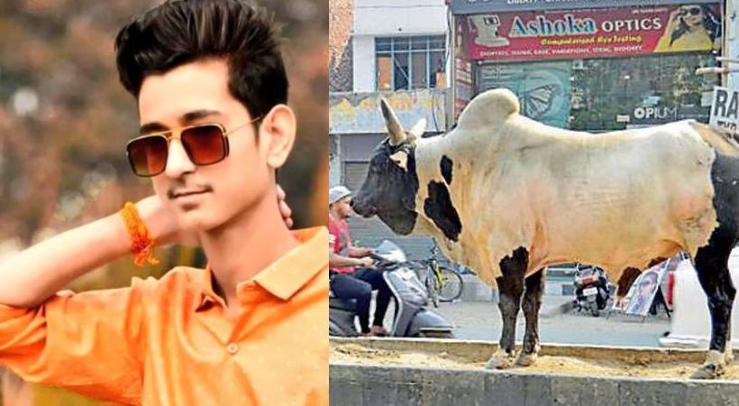Bajrang Dal Worker Dies After Stray Bulls hit with scooter