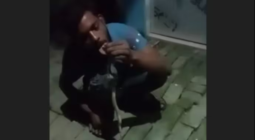 Uttar Pradesh man gets bitten while filming video with snake, dies