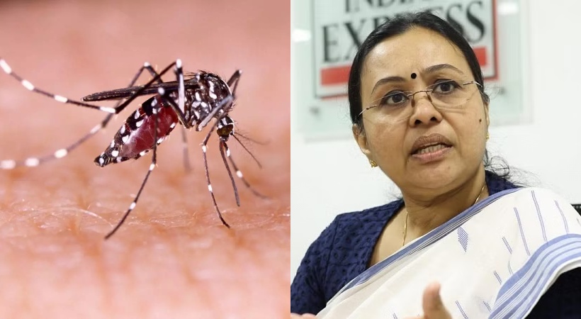Zika prevention efforts remain strong_ Health Minister