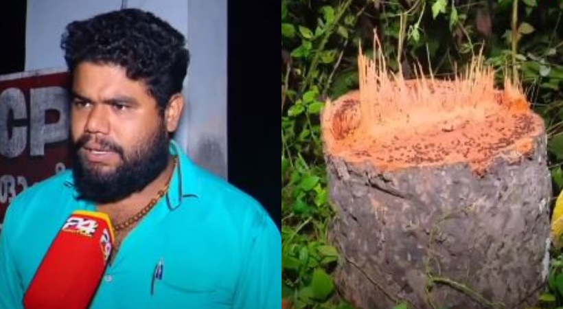 tree felling allegation palakkad cpi