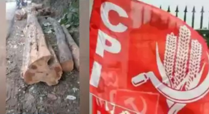 CPI may take action against who complain about tree felling
