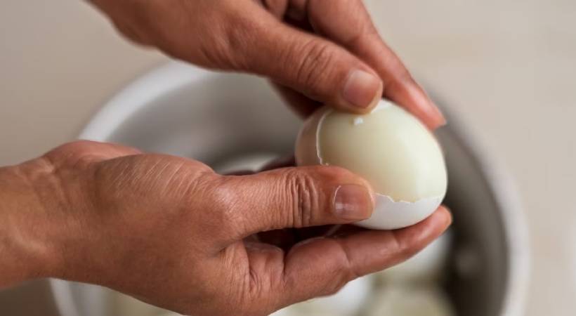 egg