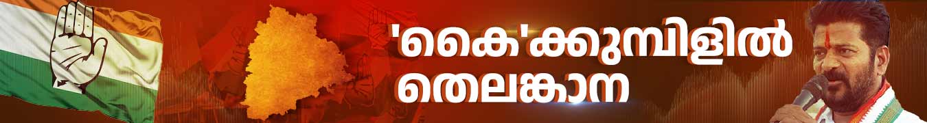 Election Banner
