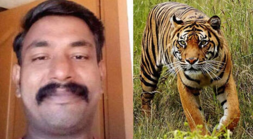 Forest department unable to catch the man-eating tiger