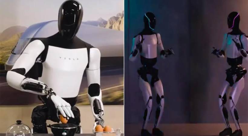Tesla Robot