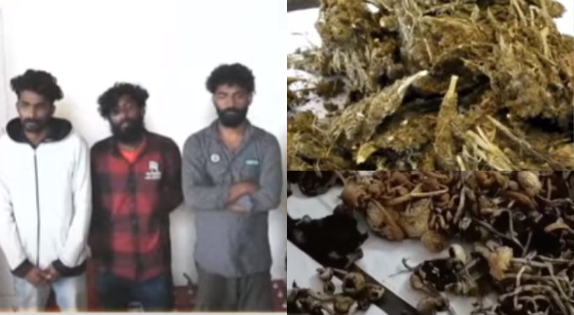 Sale of drugs in Kodaikanal Seven Malayali youths arrested