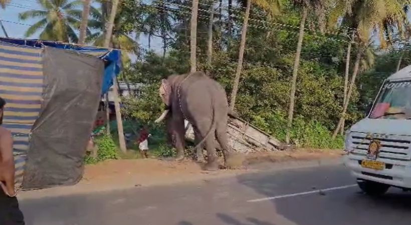 Rogue elephant damages cars thrissur