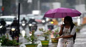 Orange alert in 4 districts Kerala