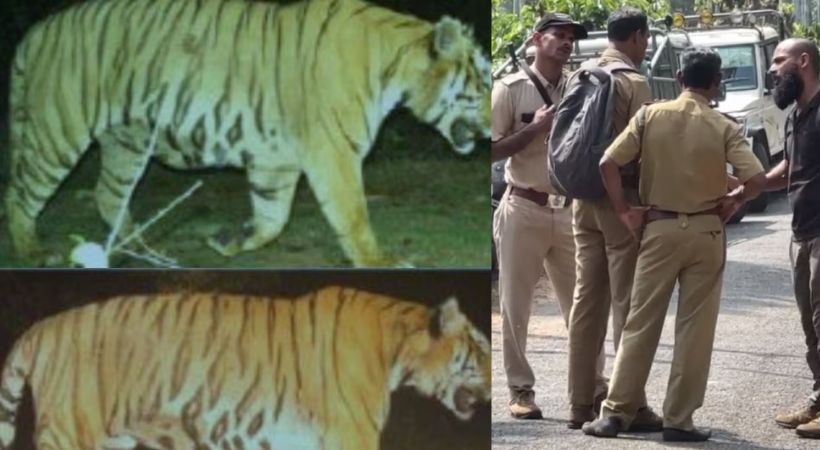 Forest department failed to catch man-eating tiger Wayanad