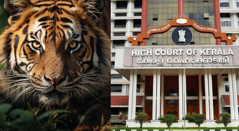 Wayanad Tiger-High court