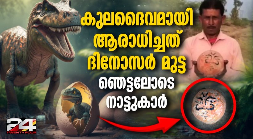 Madhya Pradesh family's sacred totem 'kuldevta' turns out to be dinosaur egg