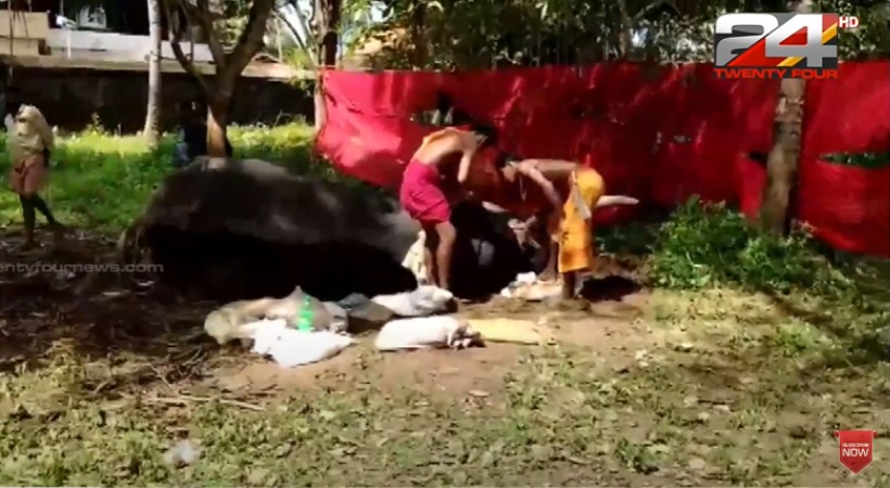 elephant-died-at-chengannur