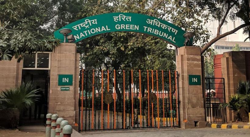 Green Tribunal's Notice to Pollution Boards on Burial of endosulfan