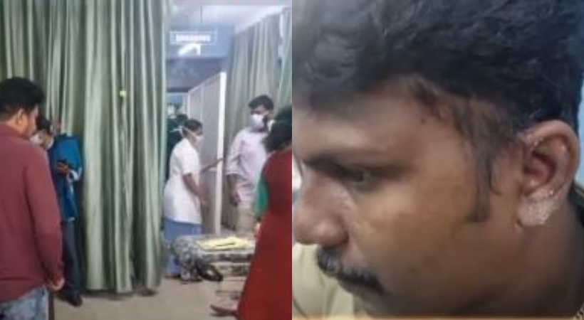 Honey bee attack at Konni eco-tourism centre