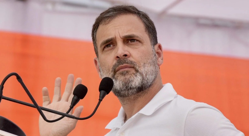 Rahul Gandhi writes to Center seeking action in Wayanad wild animal attack