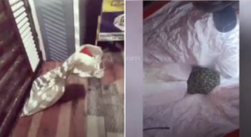A group of people throw python to ward member's house