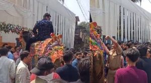kannur wedding celebration case against groom