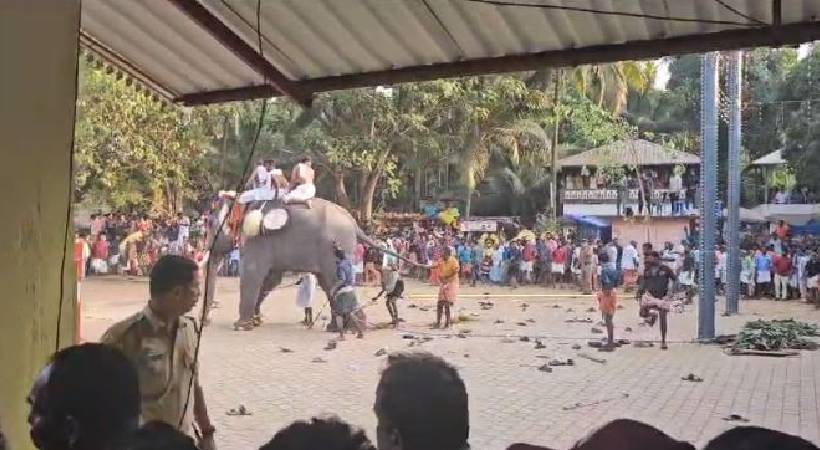 malappuram changaramkulam mookuthala kannenkaavu temple Elephant goes berserk