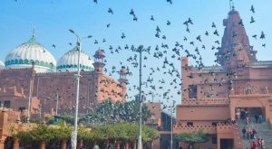 No Survey At Mathura's Shahi Idgah Mosque For Now; Supreme Court
