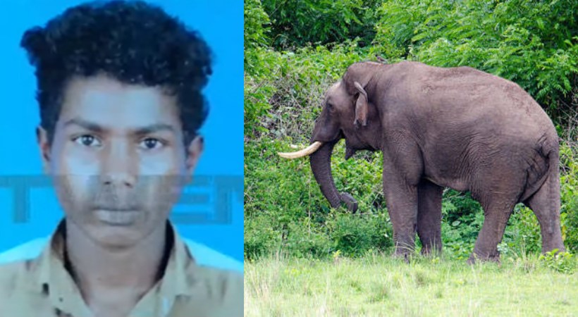 Student seriously injured in Elephant attack