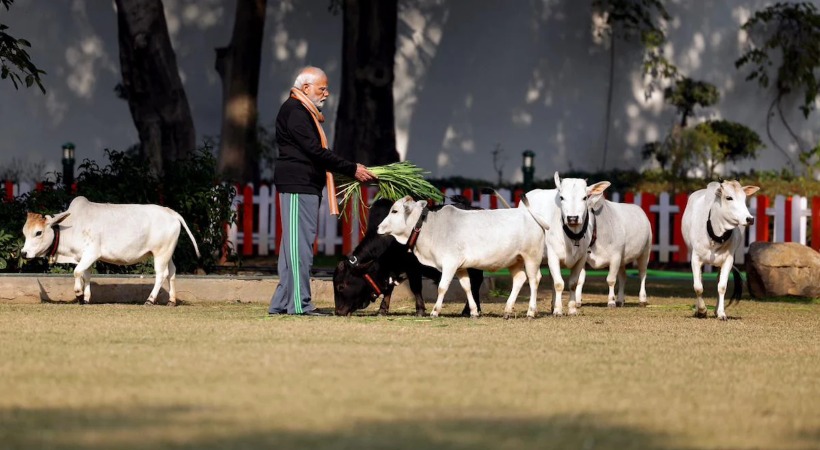 PM Modi Feeds Cows At His Residence On Makar Sankranti pics viral
