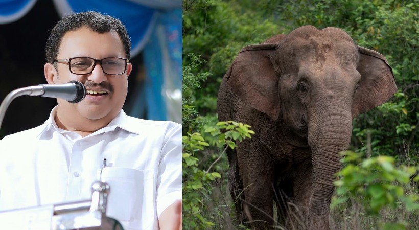 K Muraleedharan MP criticized govt for wildlife attack in Wayanad