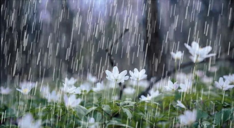 Rain alert in 3 districts Kerala