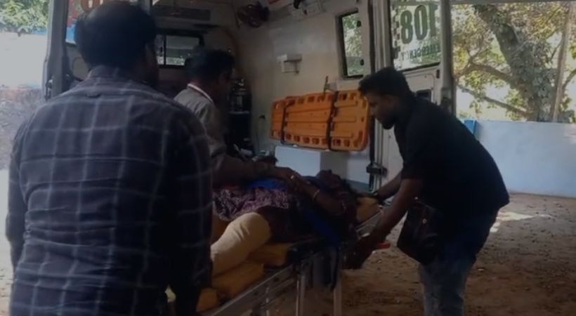 ELEPHENT attacked a couple IN Athirappilly