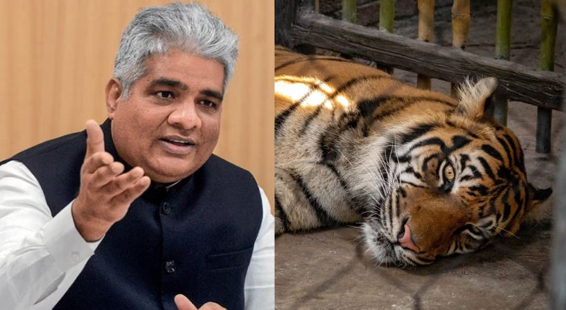 Wildlife warden is allowed to kill animals that harm humans