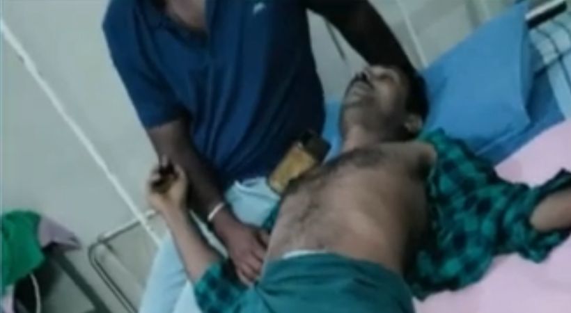 wayanad Pulpally wild animals attack