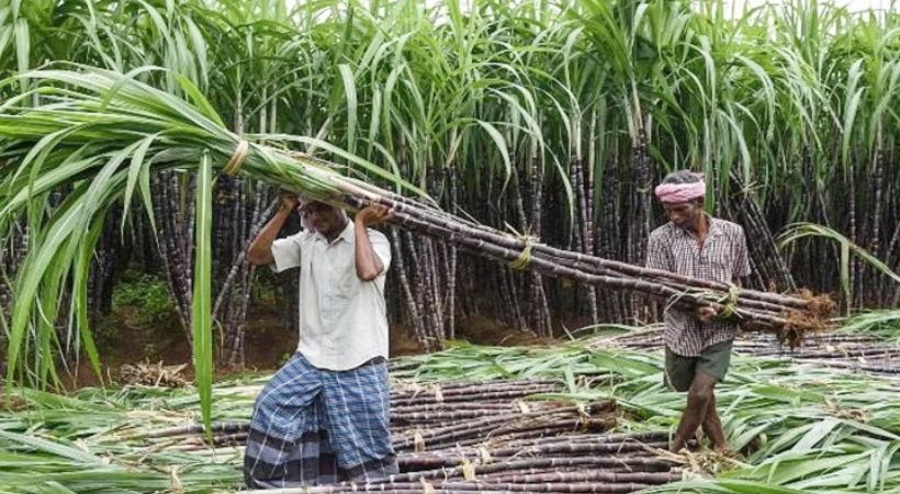 Central government increased fair price of sugarcane