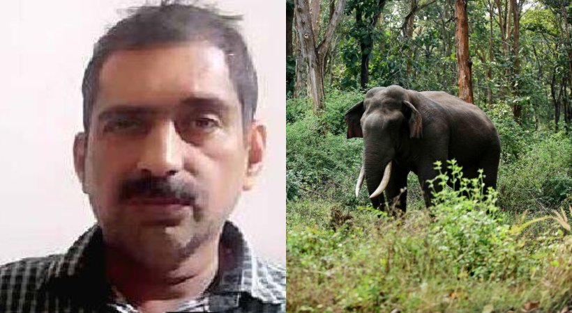 Wild Elephant Attack in Wayand LDF, UDF, BJP hartal today