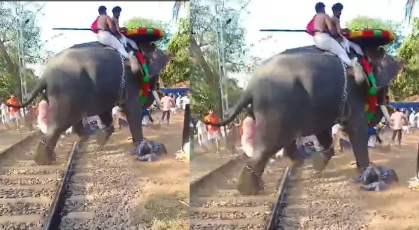 elephant attack during religious ceremony