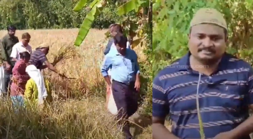 farmer in Vadakancherry harvests 'Lalgotra' paddy